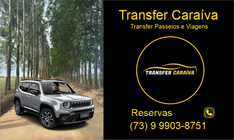 TRANSFER CARAÍVA - Transfer Viagens e Passeios