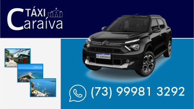 WALACE TRANSFER - Transfer Passeios Vieagens e City Tour