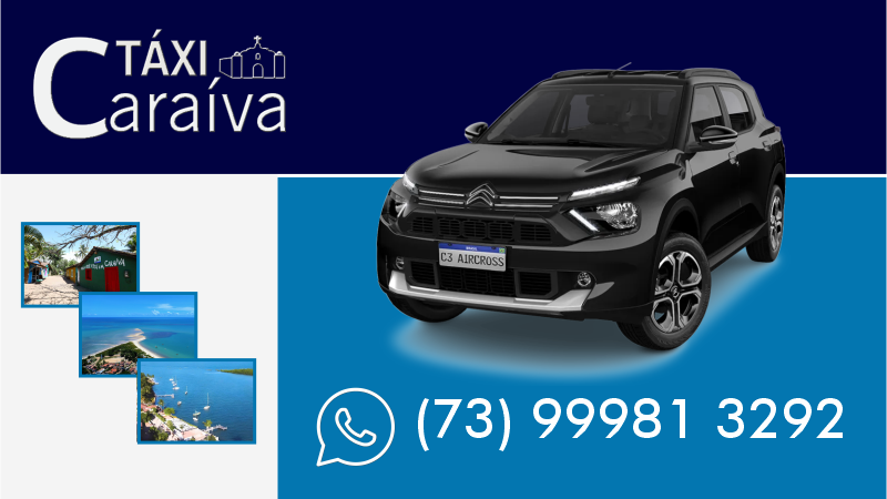 WALACE TRANSFER - Transfer Passeios Vieagens e City Tour