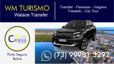 WALACE TRANSFER - Transfer Passeios Vieagens e City Tour
