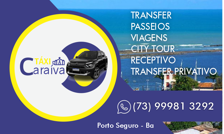 WALACE TRANSFER - Transfer Passeios Vieagens e City Tour
